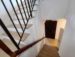 Mount Rosie Road (D11), Terrace #632936631